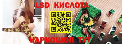 ешки Кингисепп