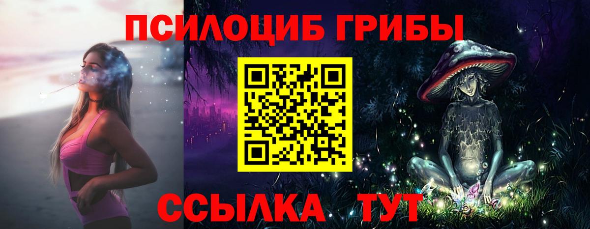 Ковров  Псилоцибиновые грибы MAGIC MUSHROOMS  цена   Псилоцибиновые грибы Cubensis  Вход с VPN 